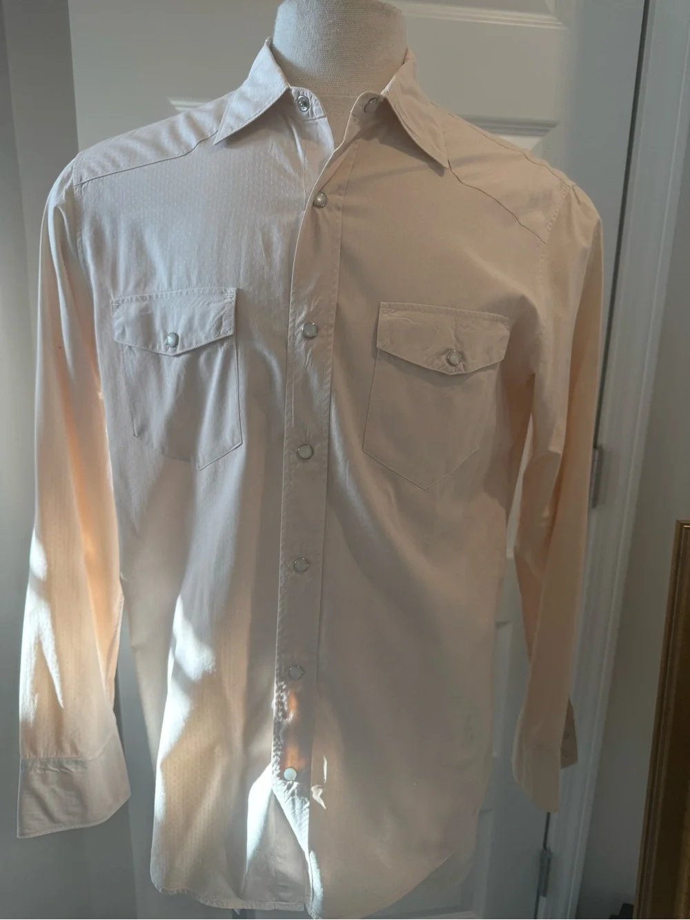 Banana Republic Men's Long-Sleeve Western Shirt in Light Peach Size Medium